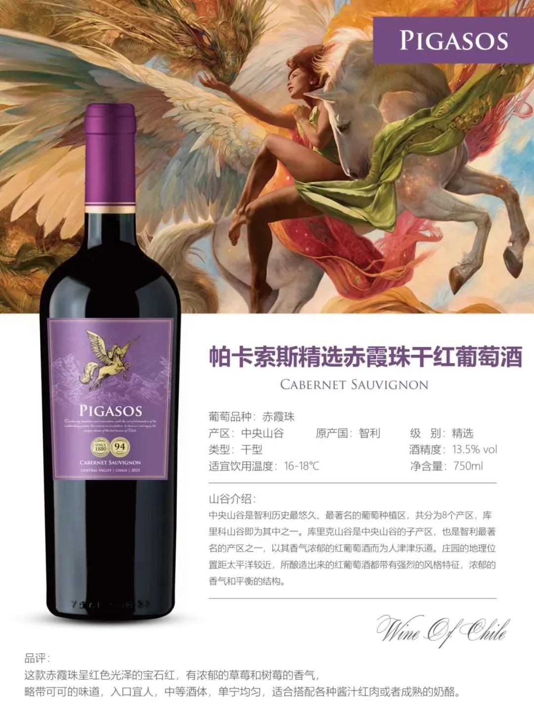 智利中央山谷PIGASOS飞马酒庄-精选赤霞珠干红葡萄酒